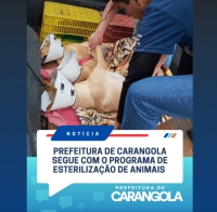 PREFEITURA DE CARANGOLA SEGUE COM O PROGRAMA DE ESTERELIZAÇÃO DE ANIMAIS